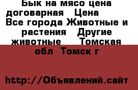 Бык на мясо цена договарная › Цена ­ 300 - Все города Животные и растения » Другие животные   . Томская обл.,Томск г.